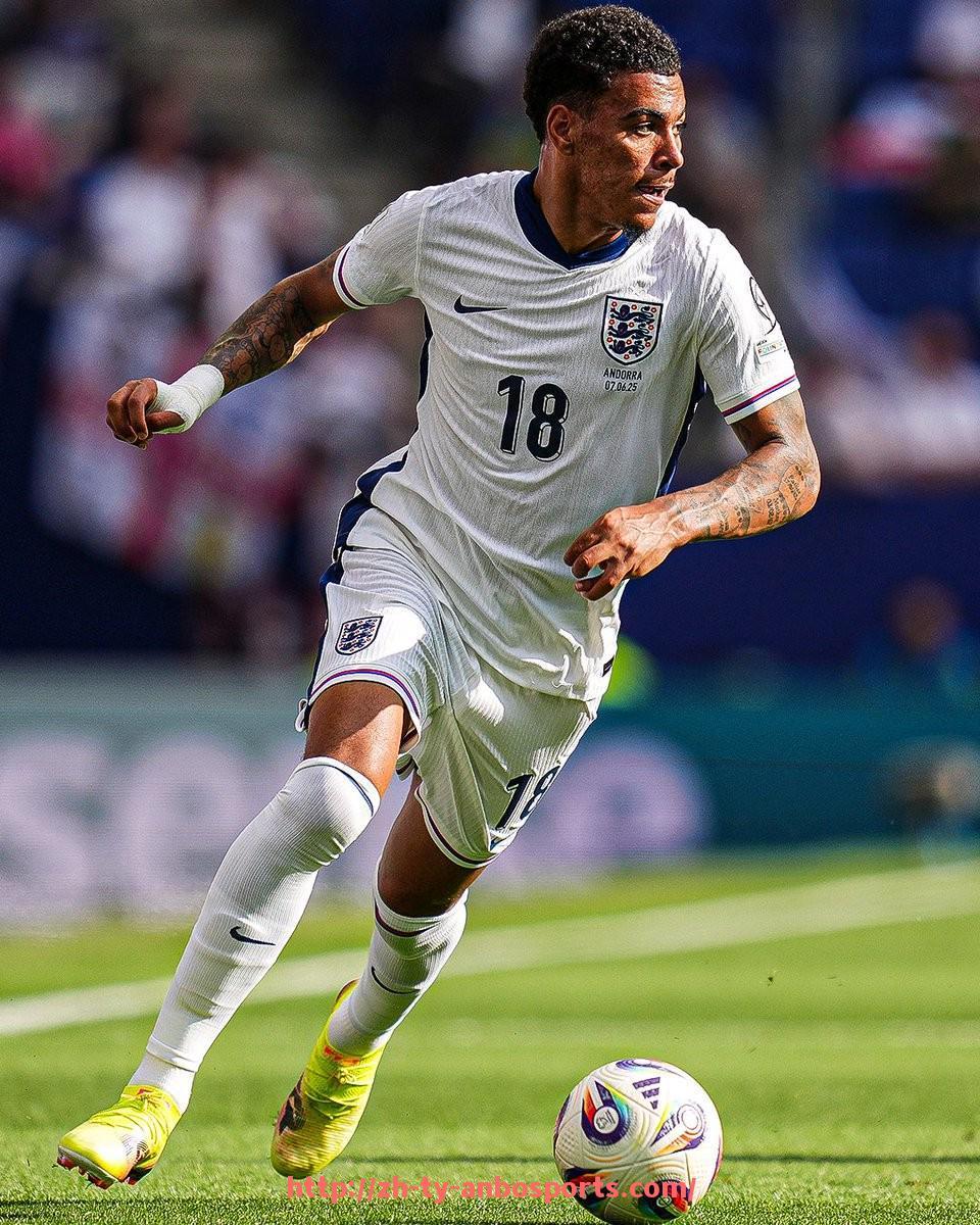 安博体育官网-世俱杯幕后工作人员揭秘及赛事运作流程。